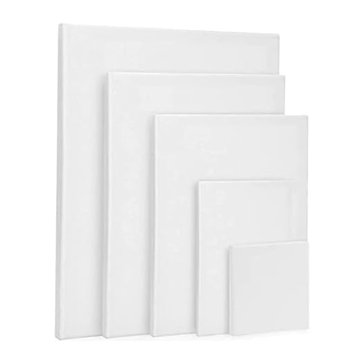 Juego de 5 lienzos para pintar con bastidor, lienzo multidimensiones, pintura de lienzo sin deformación, 100% algodón, juego de bastidores para pintar pinturas acrílicas y al óleo