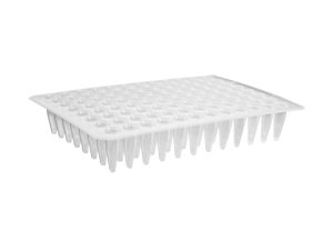 AXYGEN - BioExcell 96-well Flat Top PP PCR Microplate, No S kirt, Clr, NS, CS100