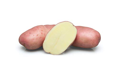 Tuberi di Patate Rosse Da 2,5 Kg Desiree Dolci Giardino Deliziosi Semi Da Piantare Verdure Fresche Perenni Resistenti