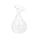 FLEURS SÈCHES POUR LA DÉCORATION - vases en verre peuvent être remplis de diverses plantes hydroponiques. vous pouvez y placer des fleurs des plantes.