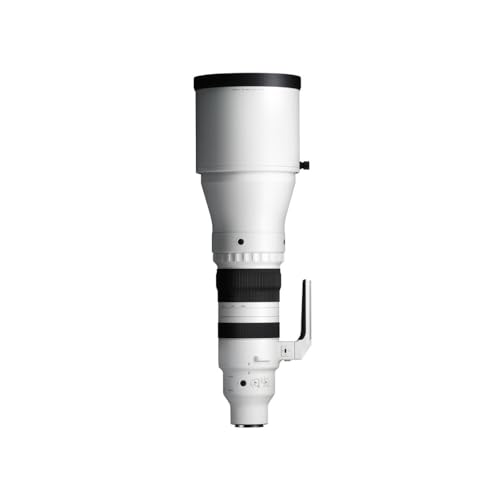 Image of 300-600mm F4 DG OS | Sports