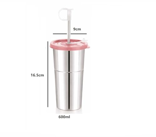 Image of Stainless Steel Fusion Glass Tumbler with Stainless Steel Metal Straws and Cleaning Brush with Lid (LD SIP 600ML)