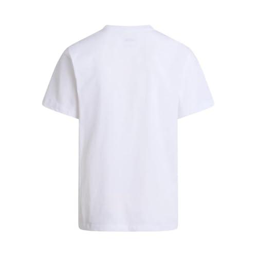 Image of THE NORTH FACE Men's Evolution Simple Dome Short-sleeve Tee (Standard & Big Size) | Cotton Shirt With the Classic Logo