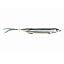 Black Back Shad