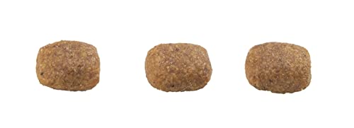 Ração para Gatoss Adultos Gran Plus Carne e Arroz 10,1Kg