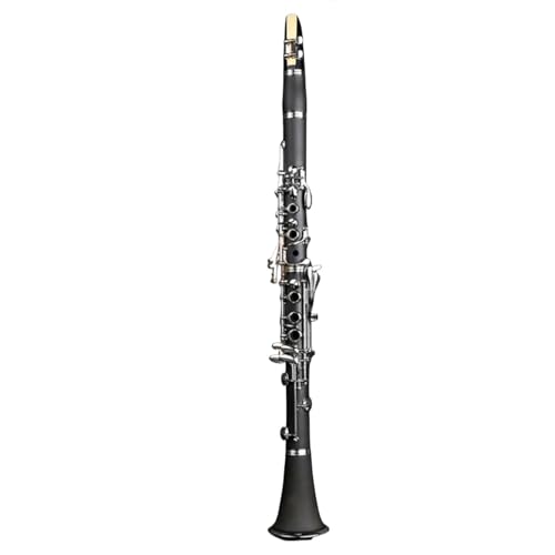 Clarinette en Si Bémol instrument à vent 17 touches adulte débutant 530