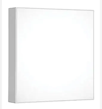 Panasonic 12 Watt LED Rimless Surface Light, with Artistic Rimless Design (6500k, Cool White) Pack of 1