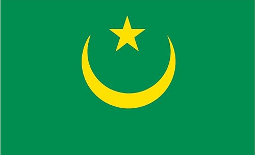 Drapeau de la Mauritanie résistant aux déchirures pour extérieur - 2