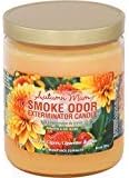 Smoke Odor Exterminator 13oz Jar Candle, Autumn Mum