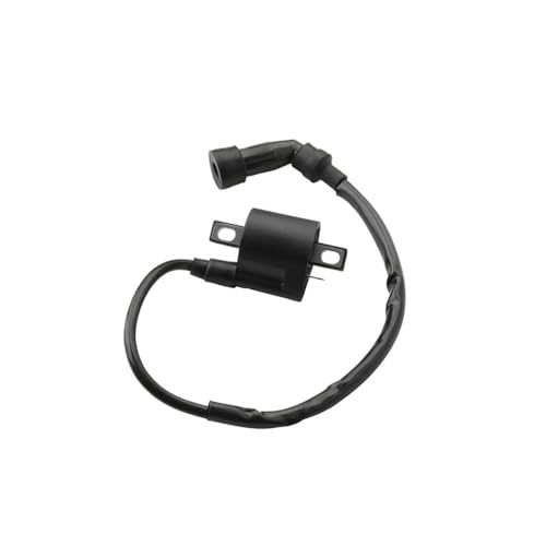 Bobina de encendido XT125 y YBR125 original para repuesto de motocicleta 3D9-H2310-00