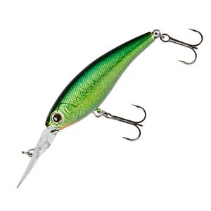 Amazon.co.jp: ダイワ(DAIWA) バス スティーズ シャッド SGウィード