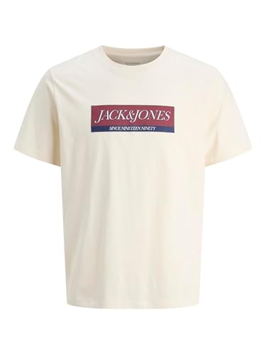 Vêtements Jack & Jones Jorinwood Block Brand Tee Ss Cn Noos Jnr pour Accessoires - vue 4