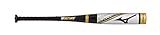 Mizuno B19-PWR CRBN Big Barrel Youth Usa Baseball Bat (-10), Silver-Gold 30'/20 oz.