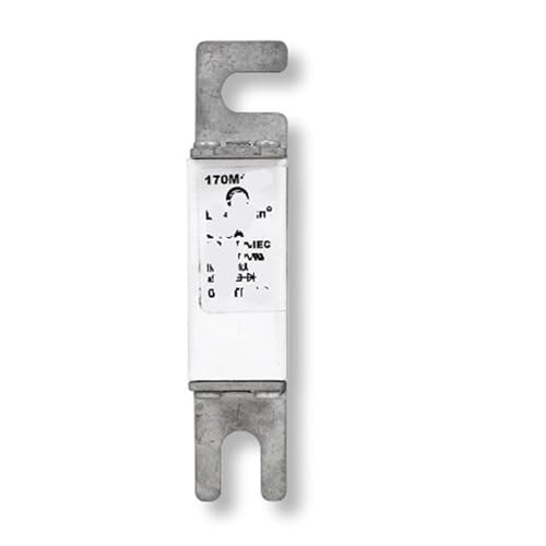 Fusible 170M5316 à coupure rapide pour sécuriser le modèle 0M6358