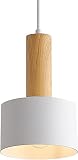 Vintage Metal Battery Operated Pendant Light Not-Hardwired,Wood Battery Powered Pendant lamp No Wire
