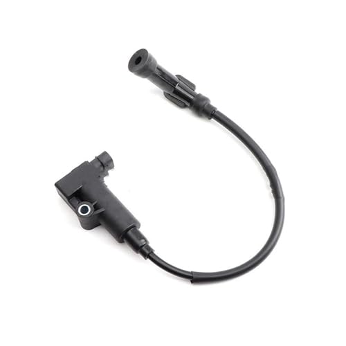 Bobina de encendido Delphi EFI: repuesto de rendimiento para moto 1