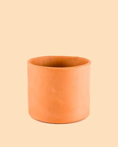 Pur Plant Maceta Terracota M 15 cm   100