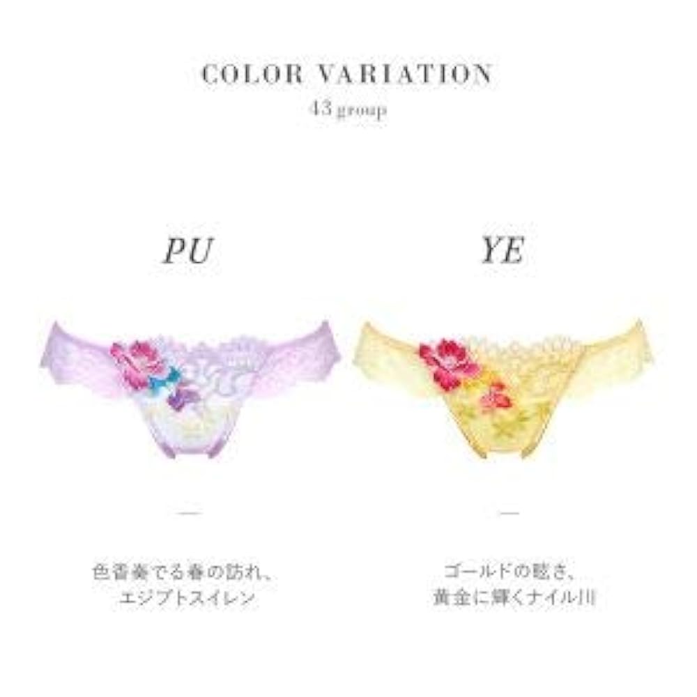 サルート E75/M 3点セット 32G ME パリ 恋の手ほどき Amazon.co.jp: [ワコール] サルート Salute 21SS 43G BTJ443