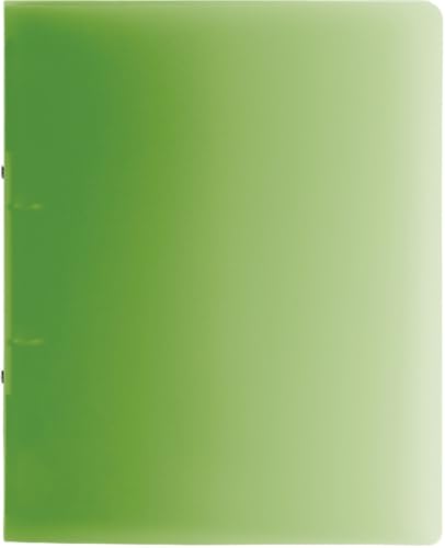 Brunnen 10 x Ringbuch Fact! A4 25mm 2 Ringe Kiwi