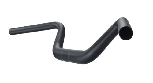 Amazon.co.jp: Ritchey Comp Buzzard マウンテンバイク ハンドルバー