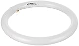 Luz blanca (6500°K) Maurer 19070128 Tubo Fluorescente Circular Trifósforo T9 32 W. 311 mm.