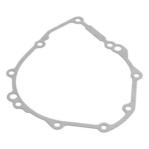 Cárter de protección para evitar averías en B-King 2008-2019 6