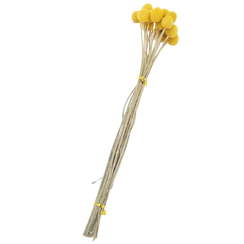 Ramo de flores secas Zerone diseño elegante para decoración miniatura 2