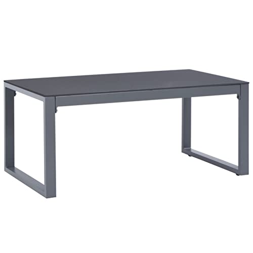 LAPOOH Mesa de Centro, Mesa Baja Salon, Sofas Recepcion, Mesa Salon Centro, Mueble para Recepcion, de Aluminio 90x50x40 cm