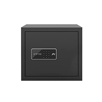 NX Pro Digital (30L) Ebony Home Locker,Multicolor-image-37