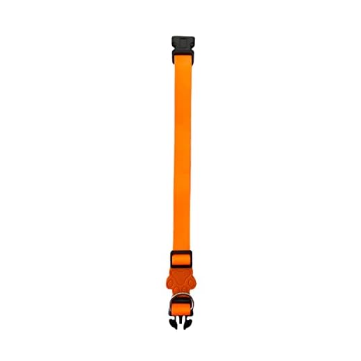 Coleira Neon Para Cachorros,M,Coleira Ajustável,Passeio e Viagem,Confortável e Resistente,Laranja