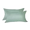 Comfort classics inc set of 2 indooroutdoor lumbar pillows 22 x 12 x 6 in acrylic canvas spa  urban country home decor