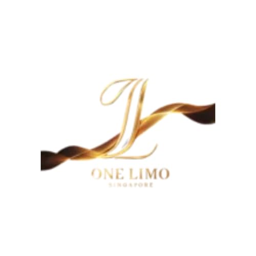 Arriving in Style: Your Seamless Changi Experience