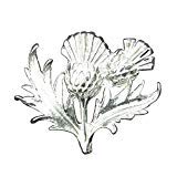 Thistle Kitchen Knobs, Thistle Drawer Knobs, Thistle Cabinet Knobs, Handmade, in Fine Pewter, by William Sturt