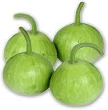 Round Bottle Gourd / Lauki Gol Hybrid | Organic Seeds | Home Garden seeds + Organic Manure + Pot Irrigation Drip system (pack of 5)-image-38