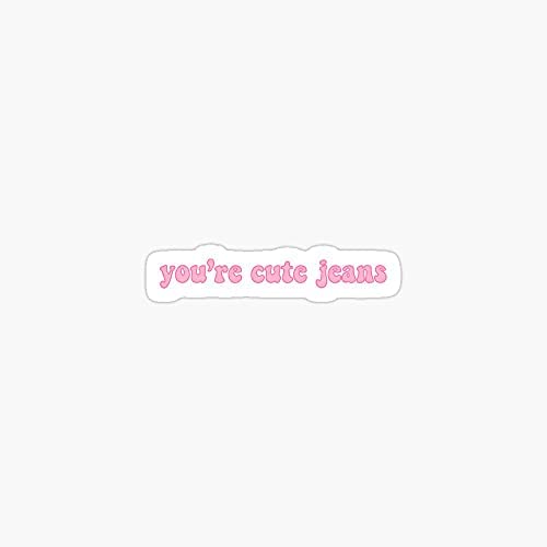 Pack of 4 3 Inch Stickers -Kardashian Cute Jeans Kendall Jenner Your Kylie Youre Kim - Sticker Graphic - Sticker Pack for Scrapbooking, Cell Phones, Lunch Boxes etc