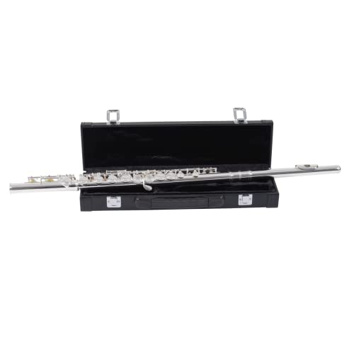 Palatino WI-806-FS C Flute with Case, 16 Keys Multi-Coloured
