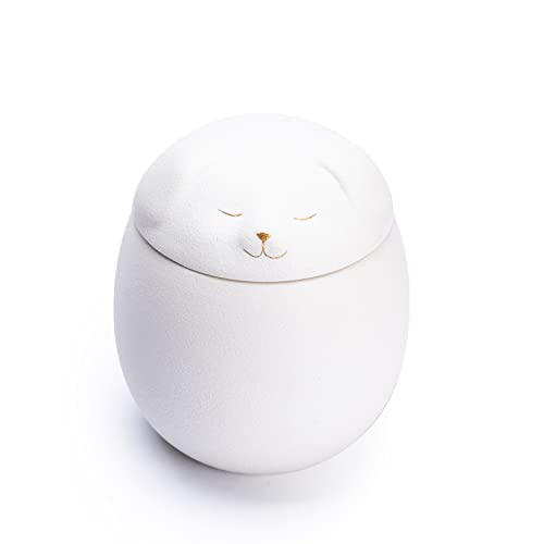 Cajas de ceniza marca TWUJTC