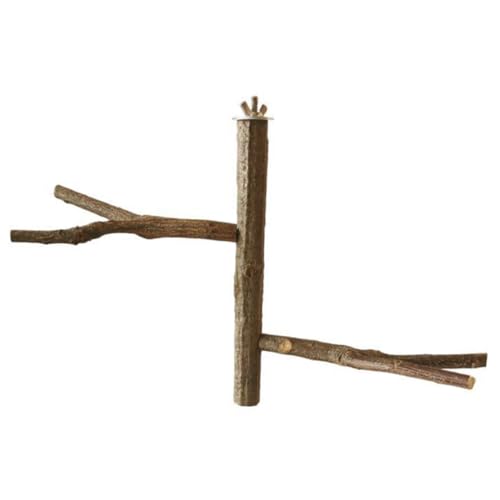 Sosoport IE|[  ߂ǂ 傫Ȓ̉a  CRP[WANZT[ i`|[oCgu` p~܂ RSECR} ̗Vя ؐ