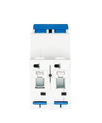 Interrupteur automatique Chint NXB-63-2-20C 2P 20A 6KA