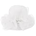 DRESHOW Lady Derby Dress Church Bowler Cloche Hat Bowknot Organza Bridal Cap for Wedding