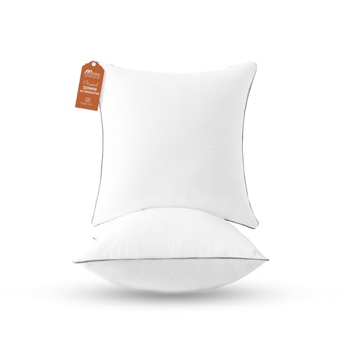 Sasttie Firm Euro Pillow Insert 26x26, European Pillows...