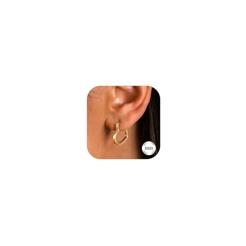 Adramata Pendientes de Aro Corazón de Plata de Ley 925 y Oro de 14K para Mujer y Niño, Hipoalergénicos para Ocasiones Especiales