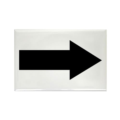 Imán rectangular CafePress 3x2 pulgadas miniatura 1