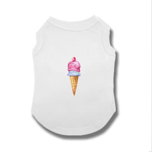 [XZVGJ] ybg Ȃ ʋC t H _炩 M Vc L  킢 ^  ^ pW} L _炩 ̕ Ȃ lC  t@bV ʋC ₩