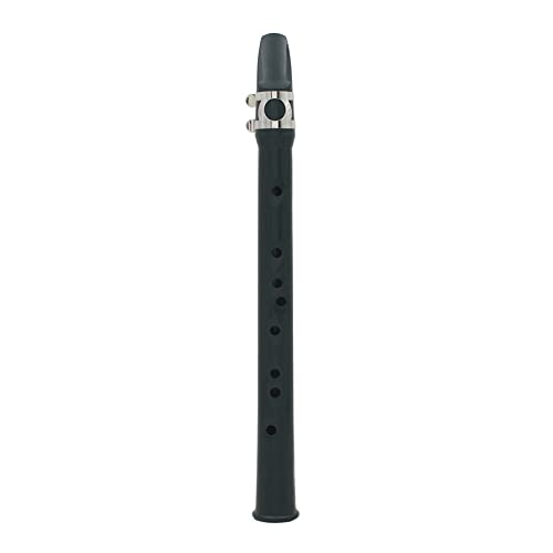 Saxophone de poche idée cadeau pour amateurs de musique et enfants