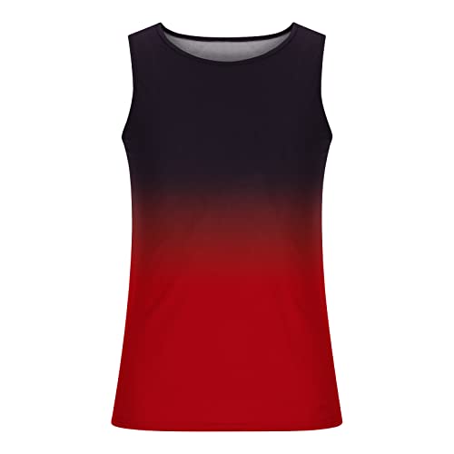 Men's Tank Tops Quick Dry Workout Swim Beach Shirts Sleeveless Shirts for Bodybuilding Gym Fitness Gradient2