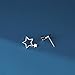 Reffeer Solid 925 Sterling Silver Star Stud Earrings for Women Teen Girls Star Post Stud Earrings Drops (A-Silver)
