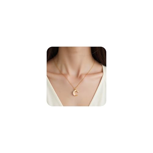 Bijoux Fantaisie Cadeau pour Femme : Collier Lune Inoxydable et Ajustable