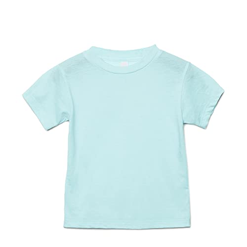Bella Canvas Toddler Triblend Short Sleeve T-Shirt