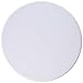 Pentair R172611WH White Niche Cover Replacement Dynamic Series Pool and Spa Filter